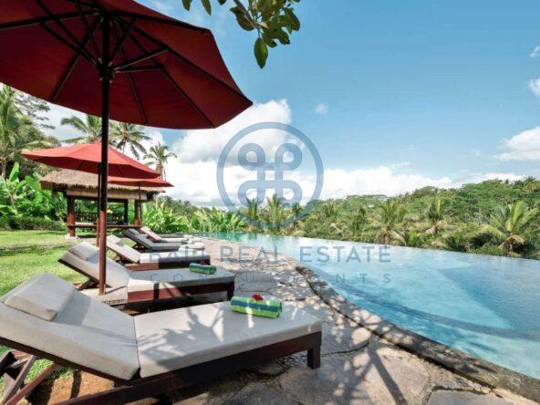 7 bedrooms villa estate jungle valley view ubud for sale rent 5 1